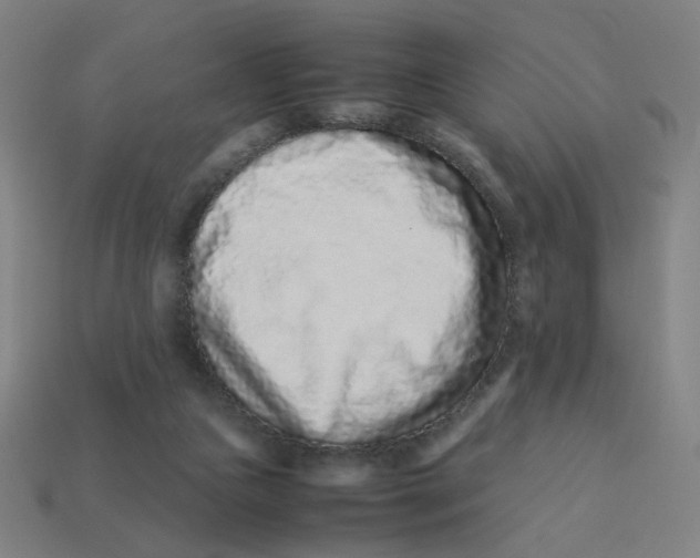 X0000113240161200910081305
