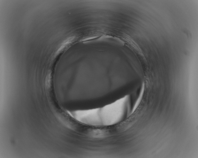X0000113240163200910081305