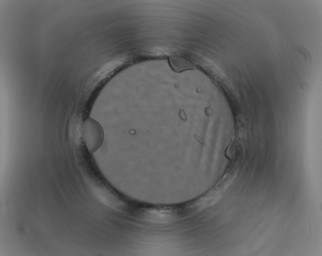 X0000113240164200910081305