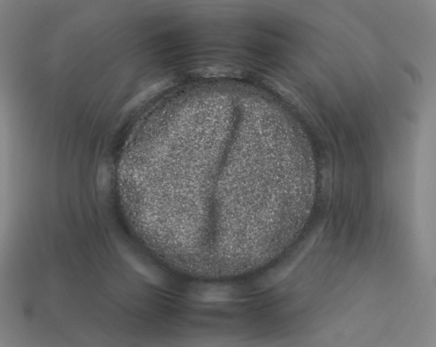 X0000113240165200910081305