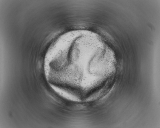 X0000113240166200910081305