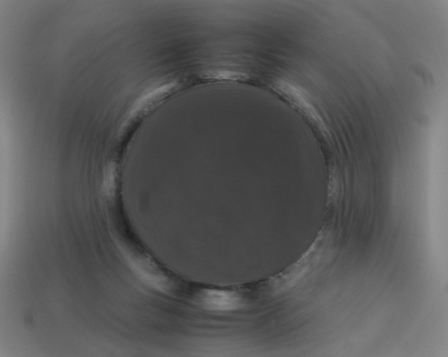 X0000113240167200910081305