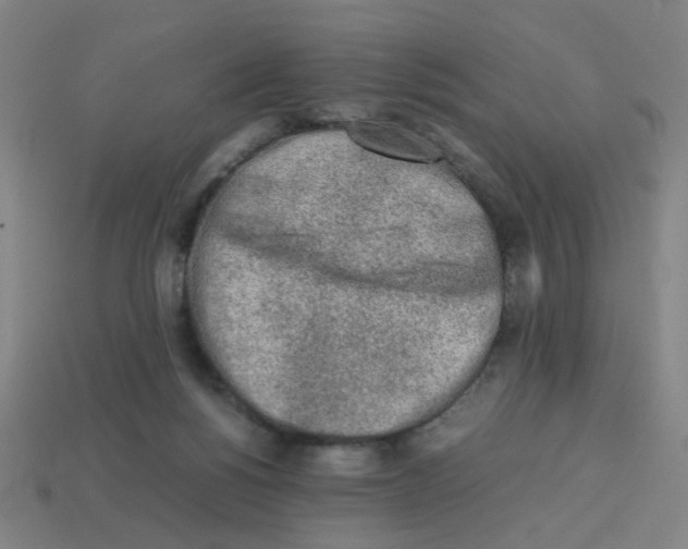 X0000113240168200910081305