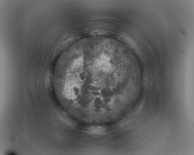 X0000113240169200910081305