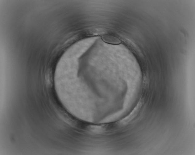 X0000113240170200910081305