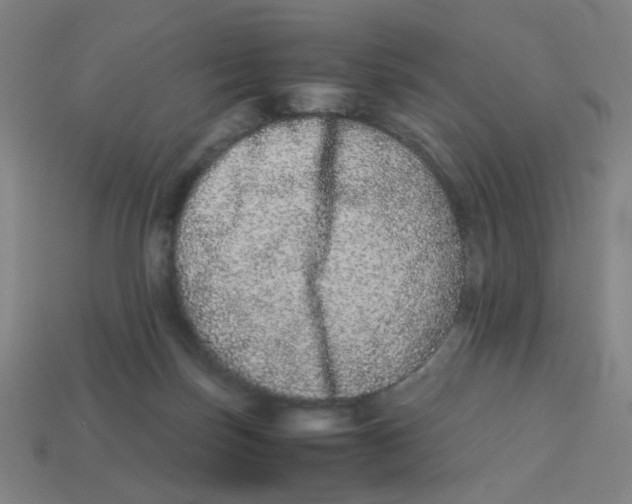 X0000113240171200910081305