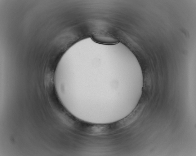 X0000113240172200910081305