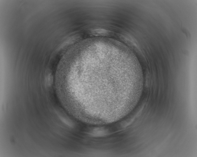 X0000113240173200910081305