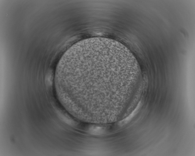 X0000113240174200910081305