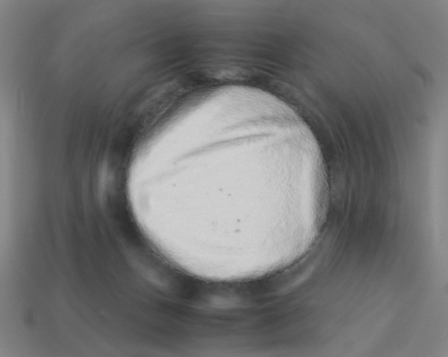 X0000113240175200910081305