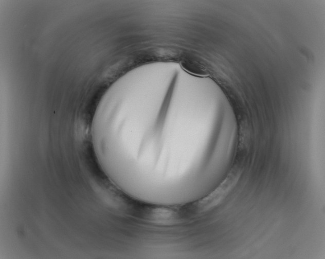 X0000113240176200910081305