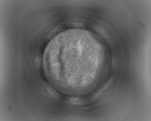 X0000113240177200910081305