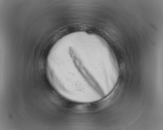 X0000113240178200910081305