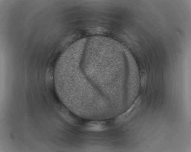 X0000113240179200910081305