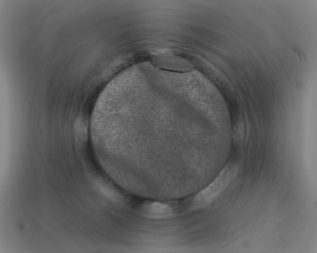 X0000113240180200910081305