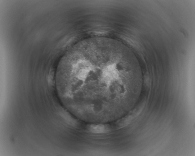 X0000113240181200910081305