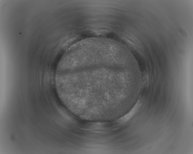 X0000113240182200910081305
