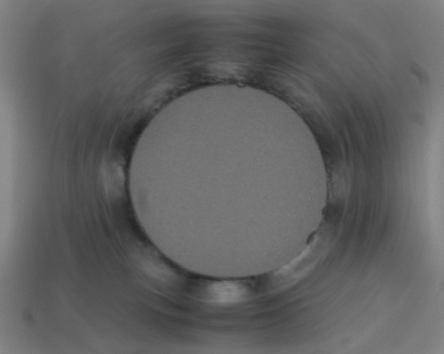 X0000113240183200910081305