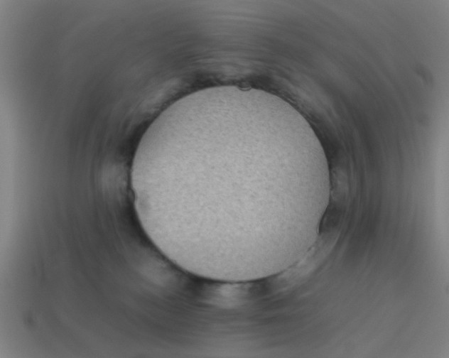X0000113240184200910081305