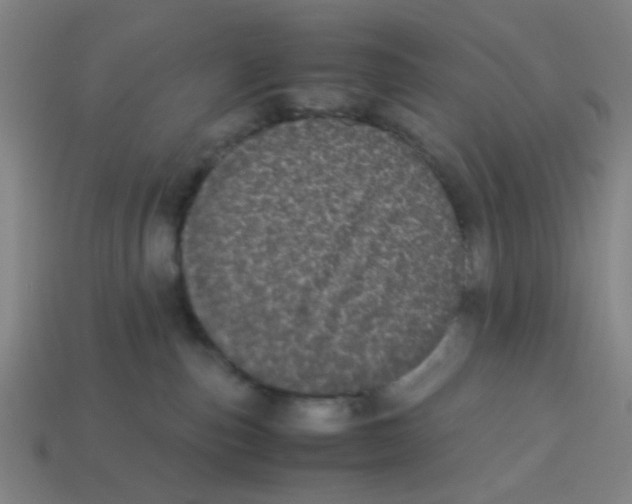 X0000113240187200910081305