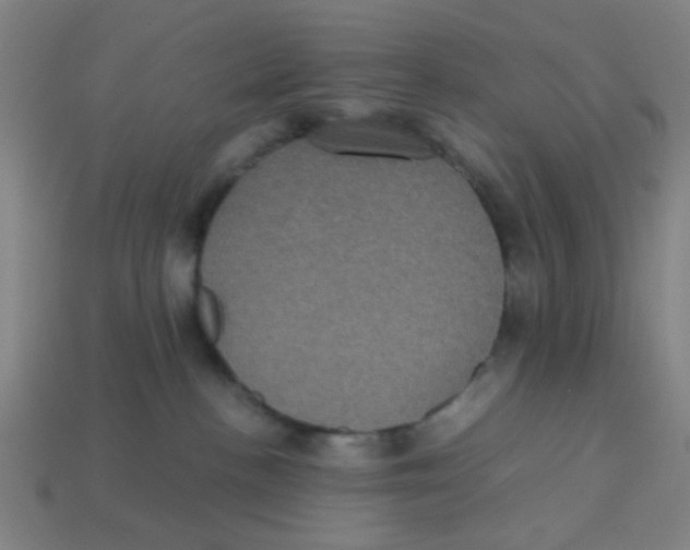 X0000113240188200910081305