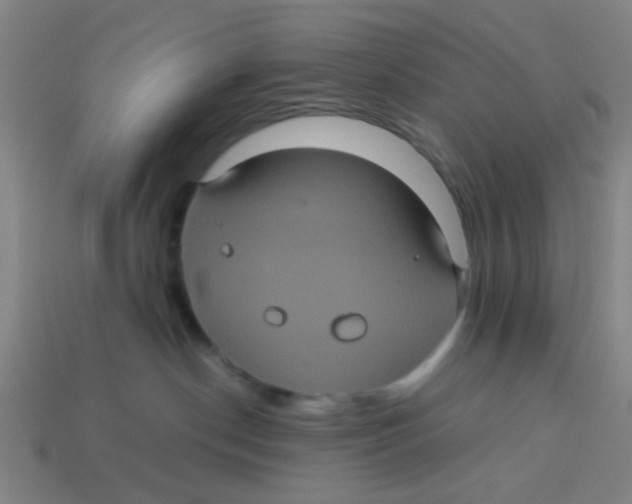 X0000113240190200910081305