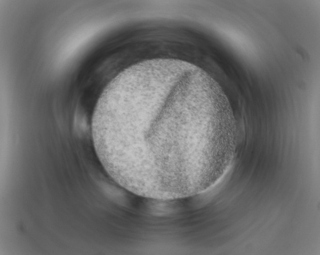 X0000113240191200910081305
