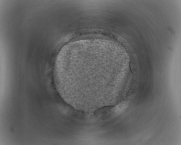 X0000113240192200910081305