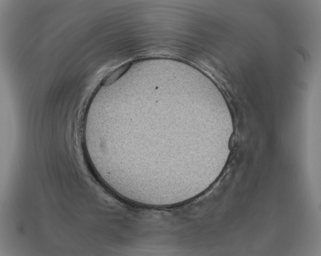 X0000113240193200910081305
