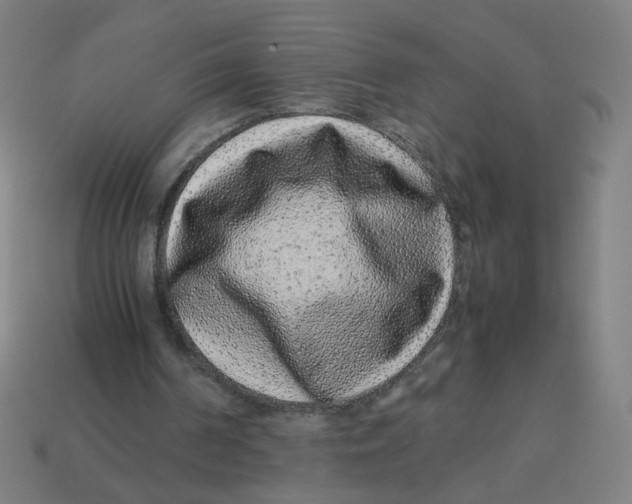 X0000113240194200910081305