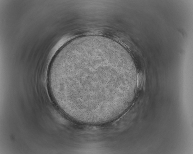 X0000113240195200910081305