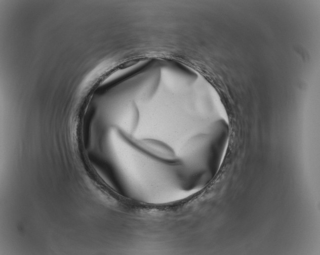 X0000113240197200910081305