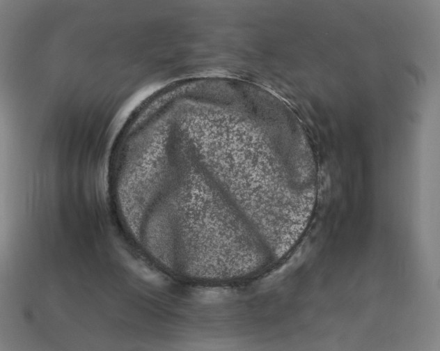 X0000113240200200910081305