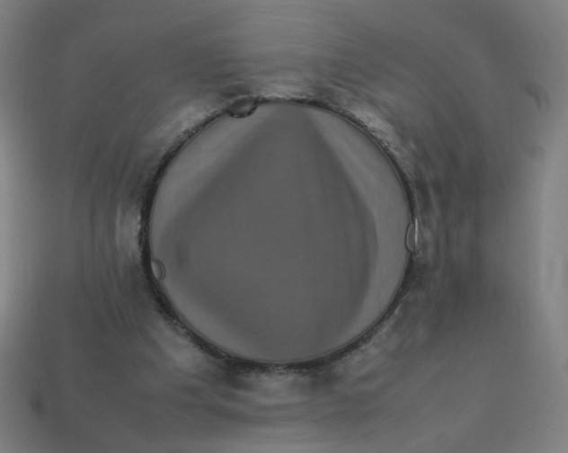 X0000113240201200910081305