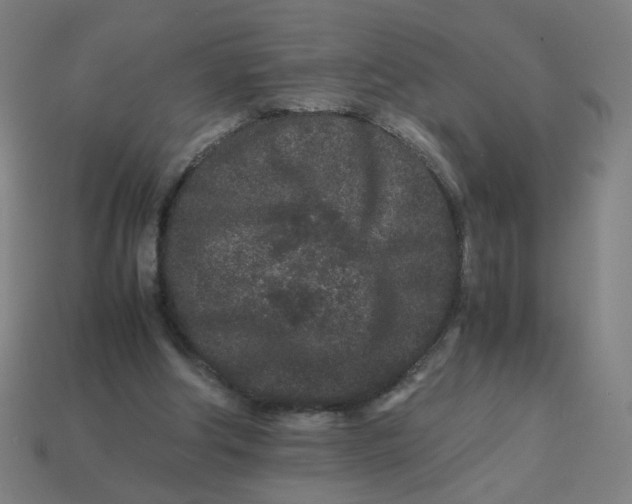 X0000113240202200910081305