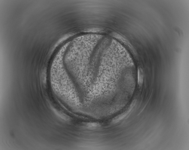 X0000113240204200910081305