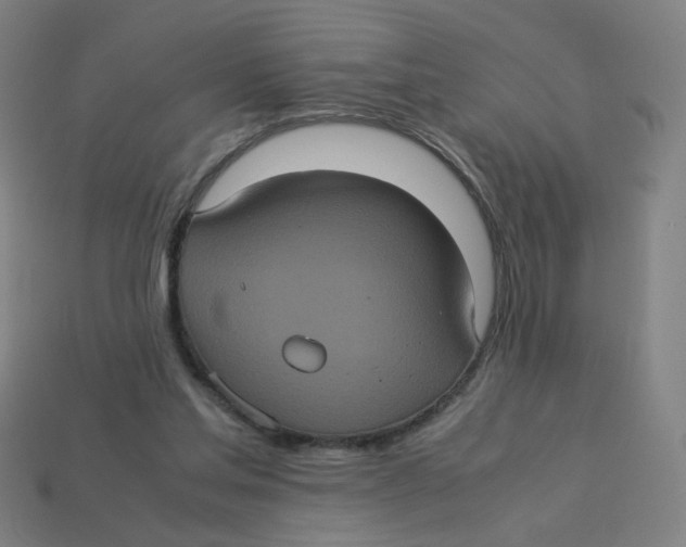 X0000113240205200910081305