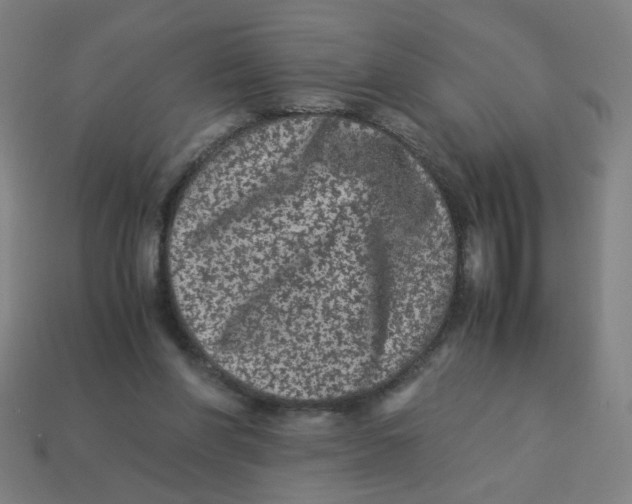 X0000113240206200910081305
