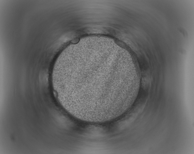X0000113240207200910081305