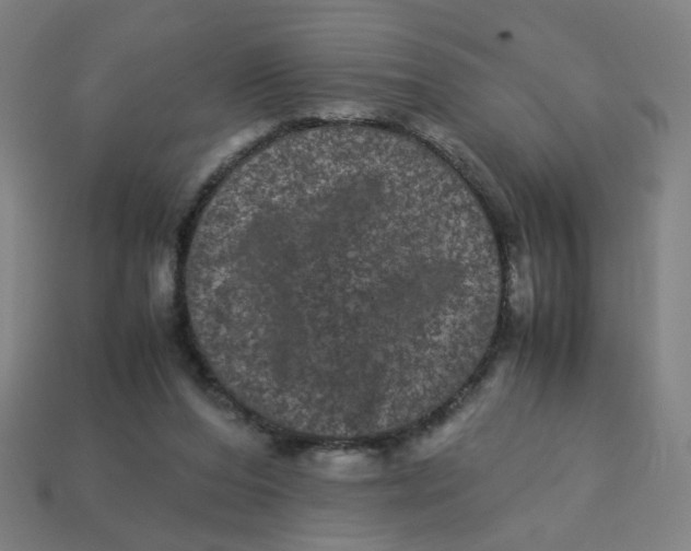 X0000113240208200910081305