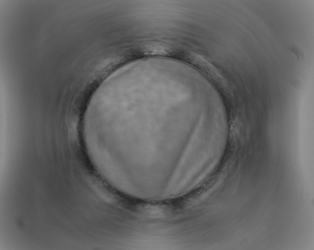 X0000113240209200910081305
