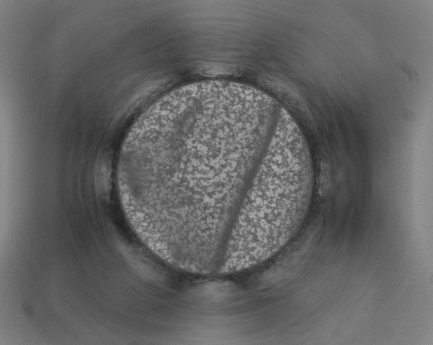 X0000113240210200910081305