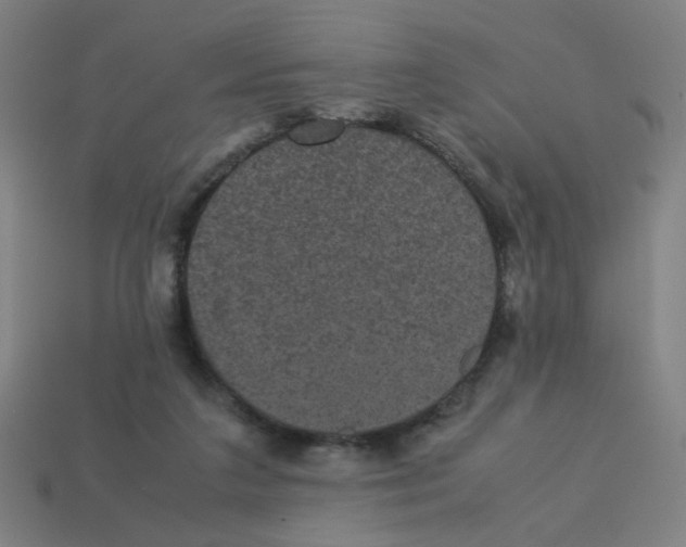 X0000113240211200910081305