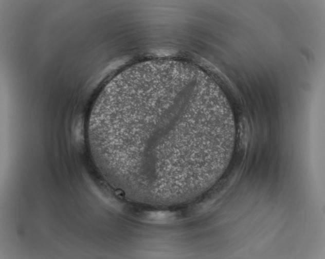 X0000113240212200910081305