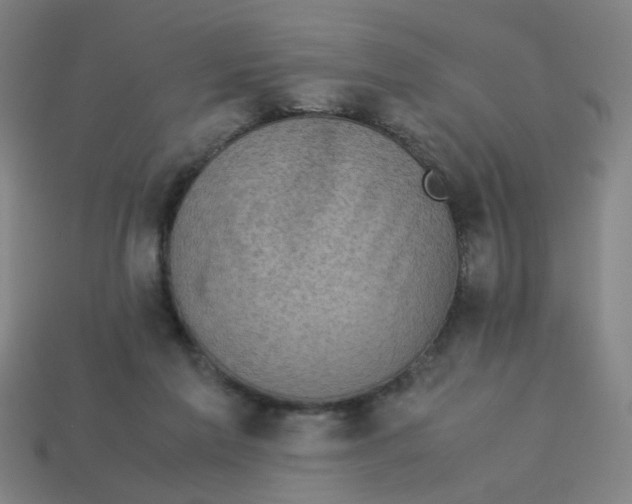 X0000113240213200910081305