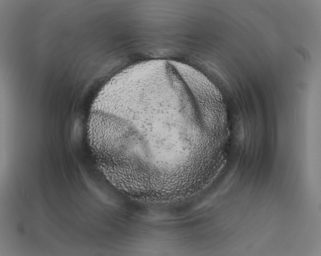 X0000113240214200910081304
