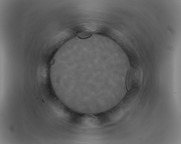 X0000113240215200910081304