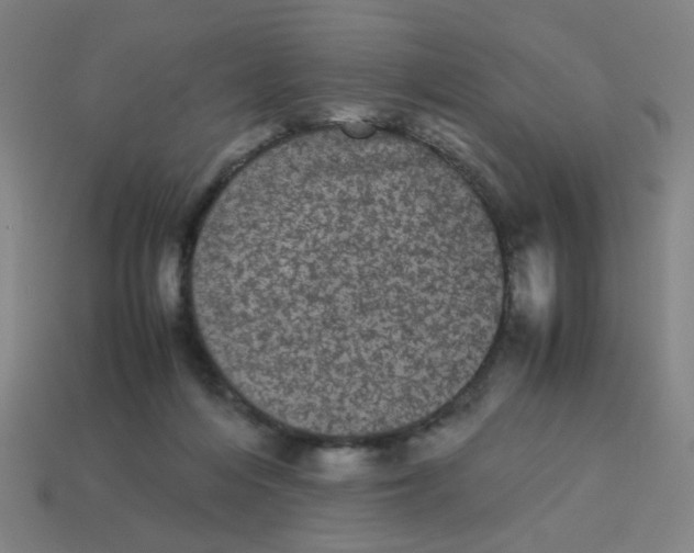 X0000113240216200910081304