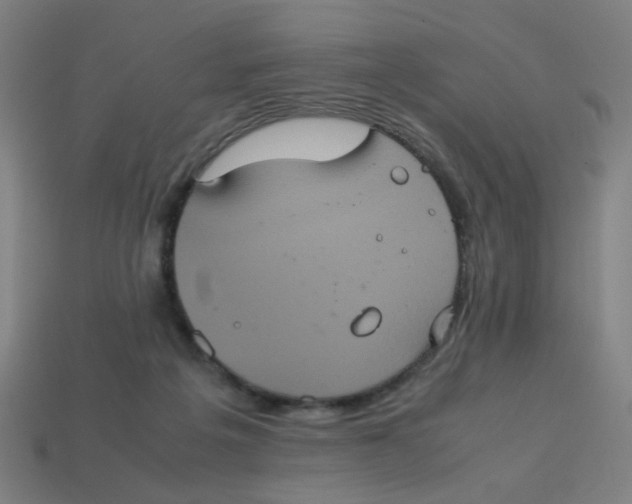 X0000113240217200910081304