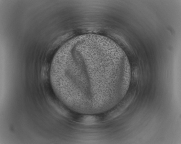 X0000113240218200910081304